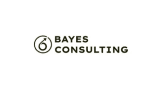 Bayes Consulting